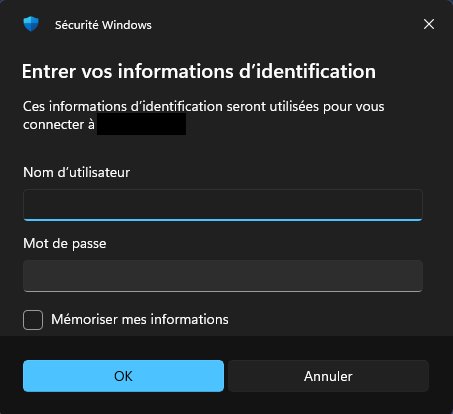 Fenêtre de saisie des identifiants Windows